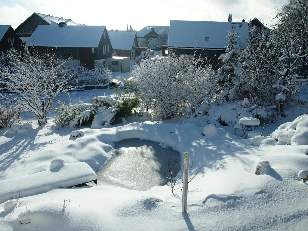 Ferienwohnung Rothaarnest Winterberg Exterior foto